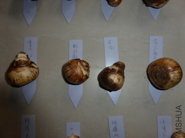 QQͼƬ20140630152040.jpg