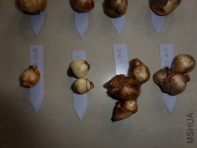QQͼƬ20140630152051.jpg