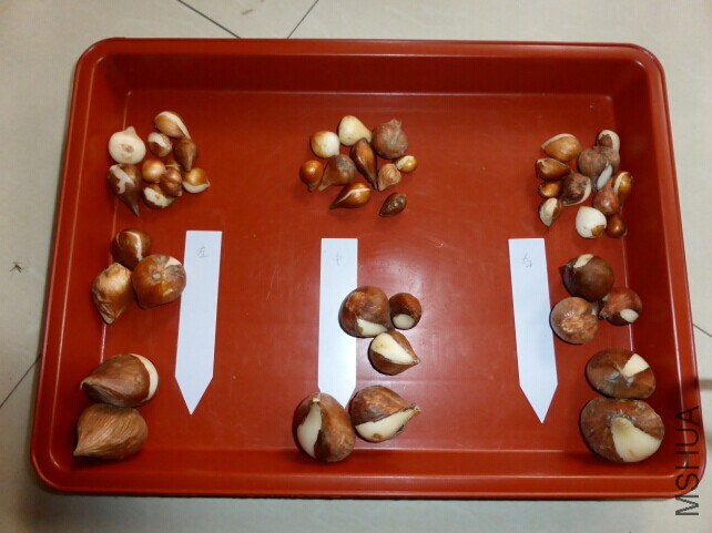 QQͼƬ20140630151848.jpg