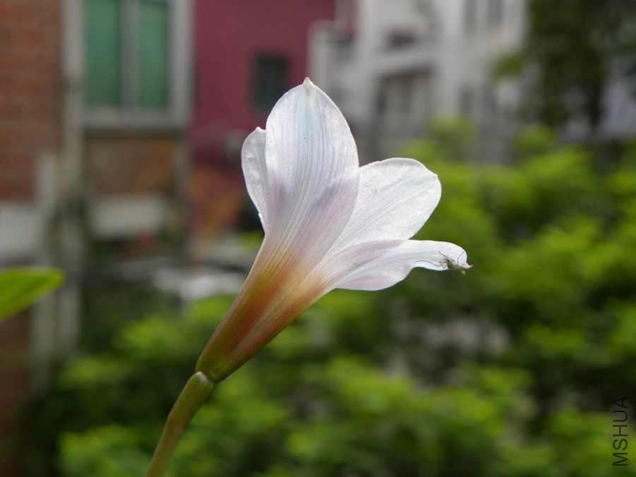 DSCN7167.jpg