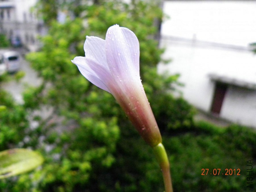 DSCN7313.jpg