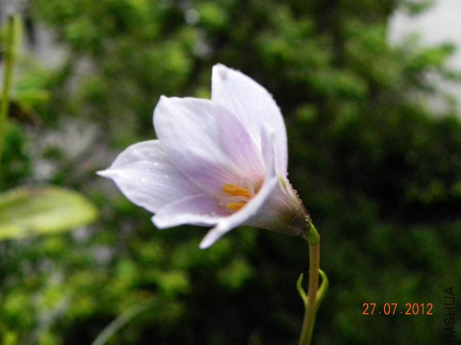 DSCN7315.jpg