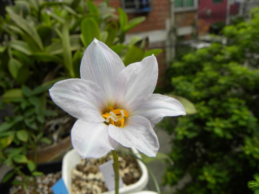 DSCN7170.jpg