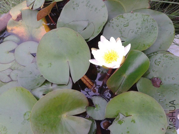 20140701_055120.jpg