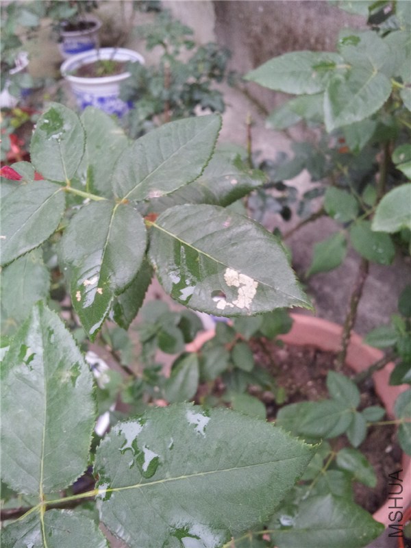 QQͼƬ20140701103235.jpg