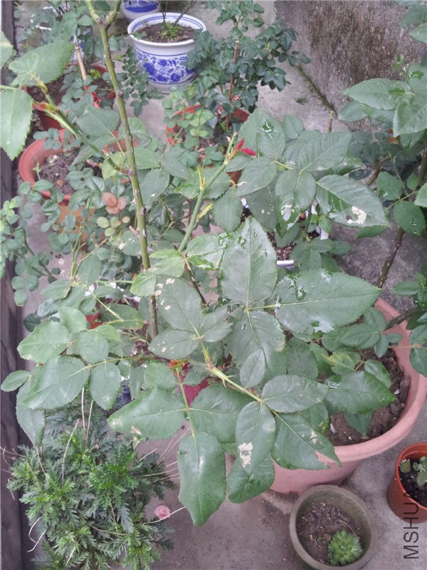 QQͼƬ20140701103229.jpg