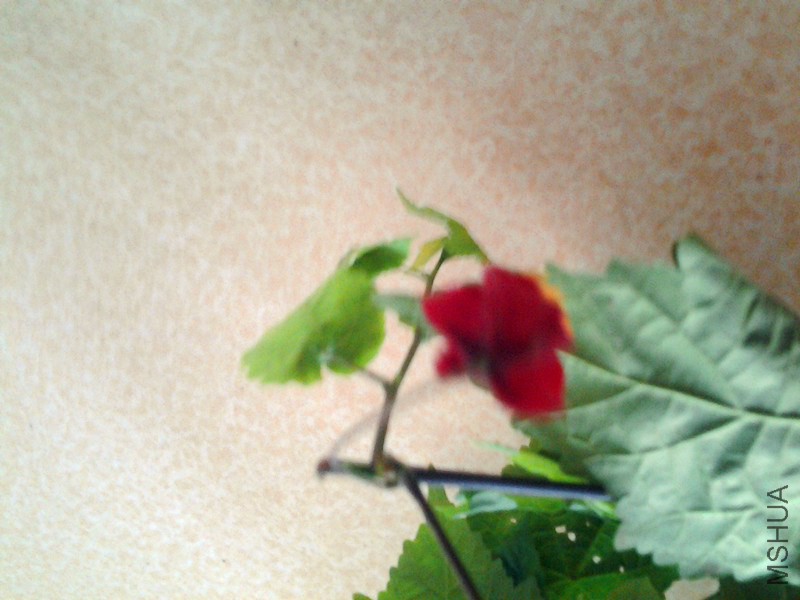 20140630_081112.jpg