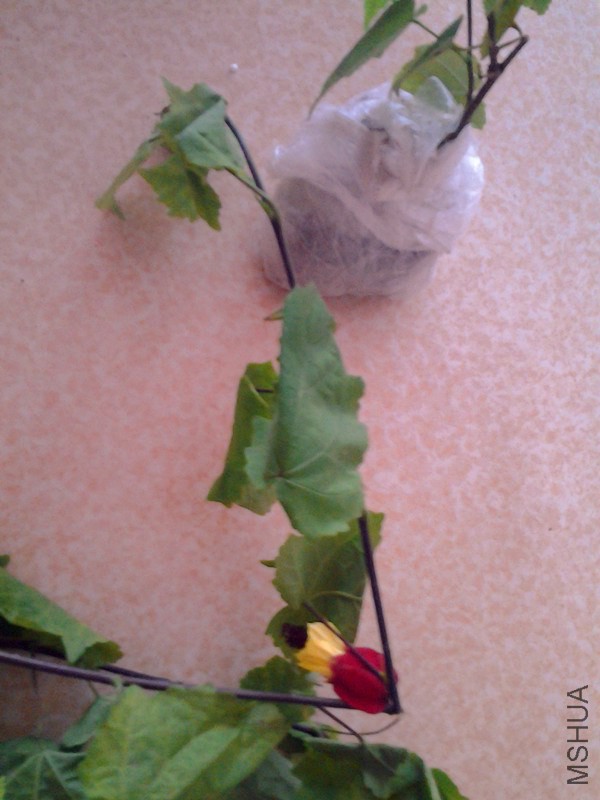 20140630_081118_����.jpg