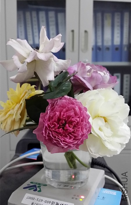 20140701_134413_����.jpg