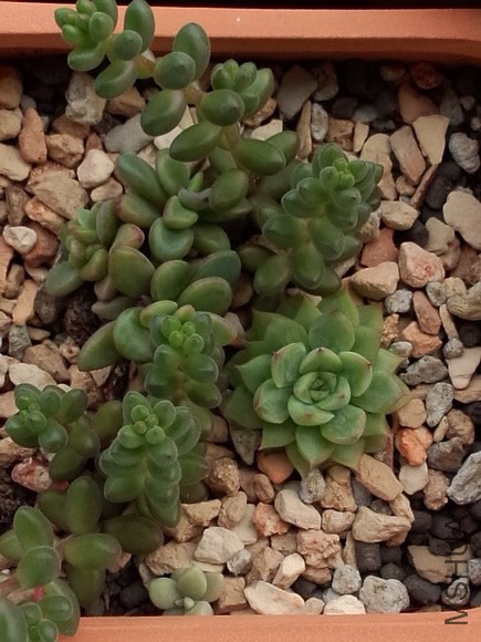 Ů������ɺ���� (1).jpg