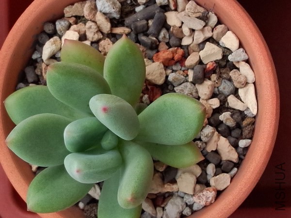 �������� (1).jpg