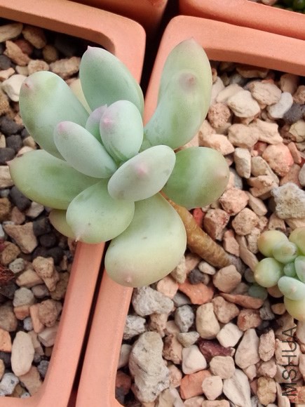 ���������� (1).jpg