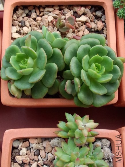 ���� (1).jpg