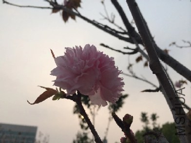 �����ڸ���ũ�ִ�ѧ