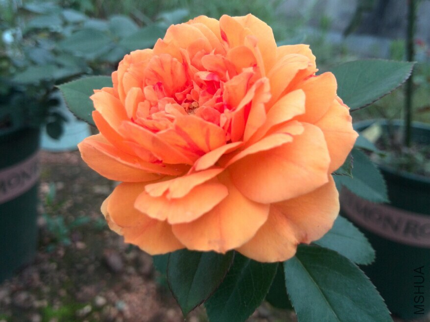 QQͼƬ20140702113750.jpg