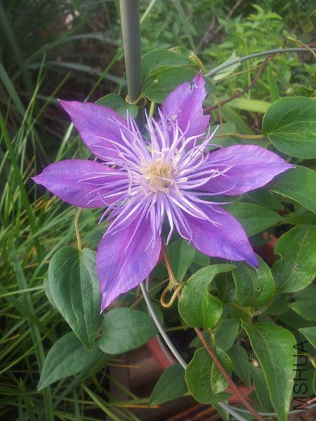 20140629_170025.jpg