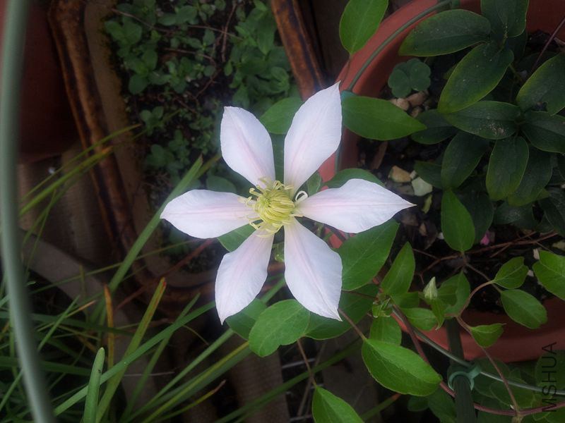 20140629_170012.jpg