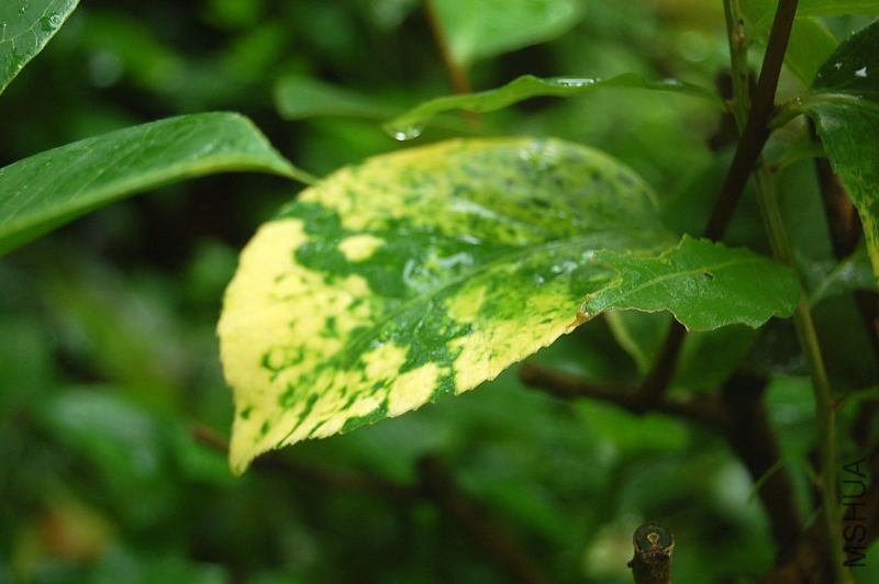 DSC_01150115.JPG
