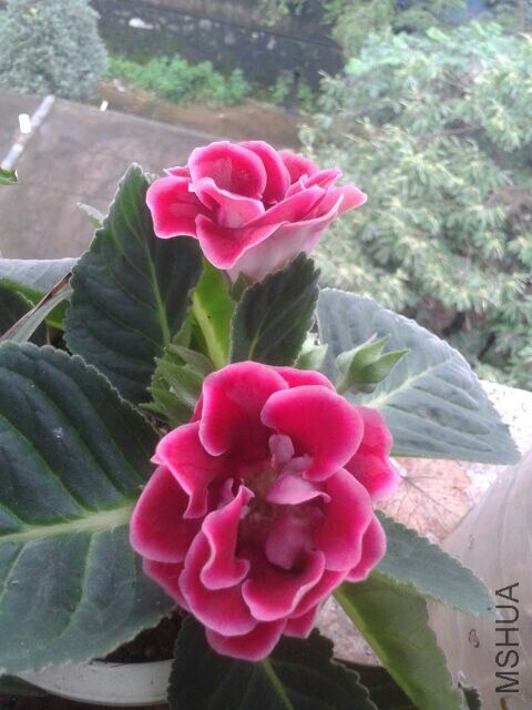 QQͼƬ20140703115042.jpg