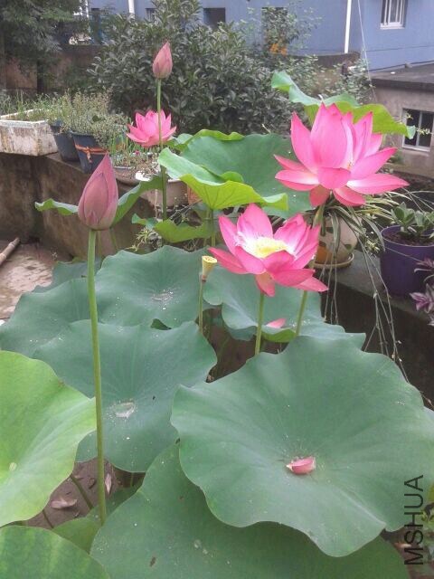 QQͼƬ20140703115039.jpg