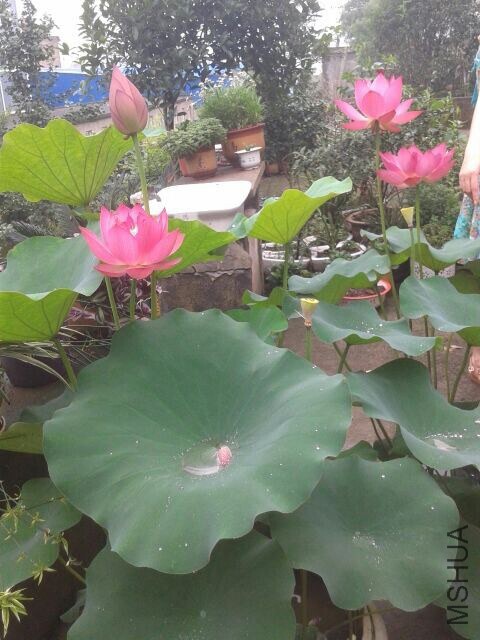 QQͼƬ20140703115017.jpg