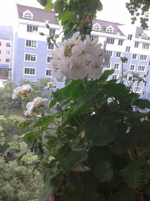 QQͼƬ20140703115030.jpg