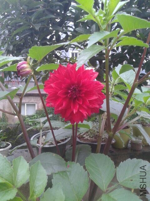 QQͼƬ20140703115034.jpg