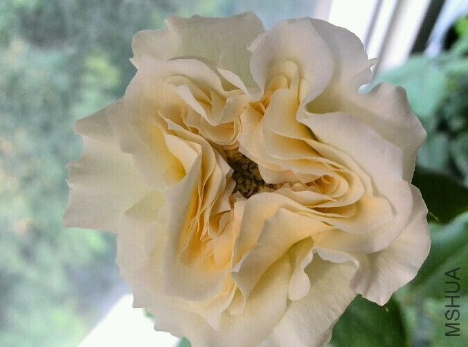 QQͼƬ20140703122622.jpg