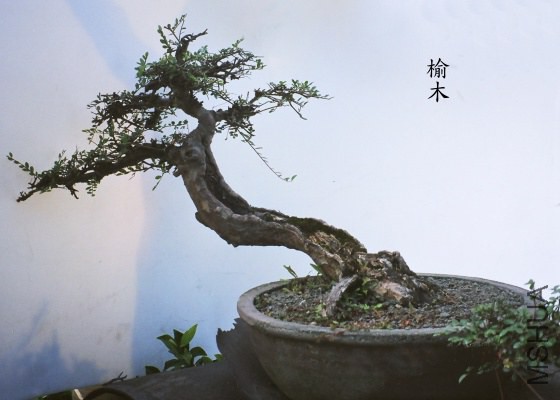 yumu-7.jpg