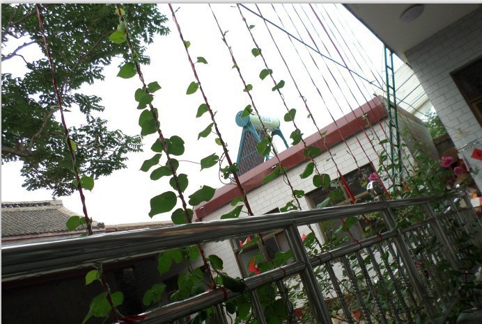 QQͼƬ20140703131851����.jpg