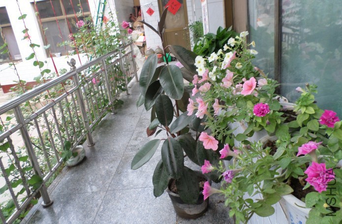 QQͼƬ20140703131802��.jpg