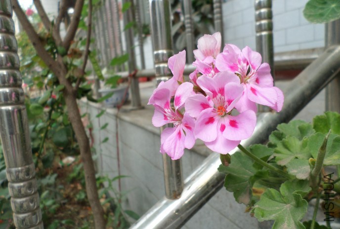 QQͼƬ20140703132013С��.jpg