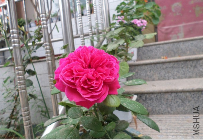 QQͼƬ20140703132427�ʼ���֬.jpg