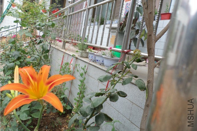 QQͼƬ20140703132533���.jpg