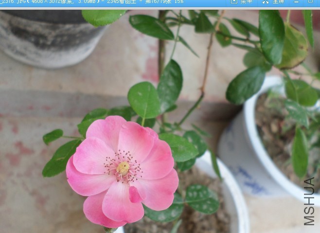 QQͼƬ20140703135227������.jpg