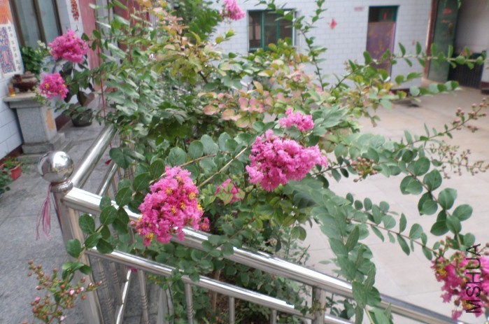 QQͼƬ20140703135320��ޱ.jpg