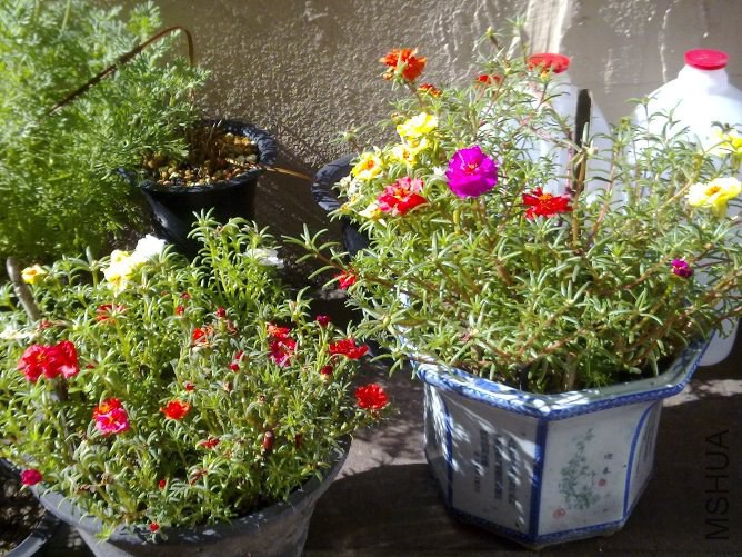 20120725257.jpg