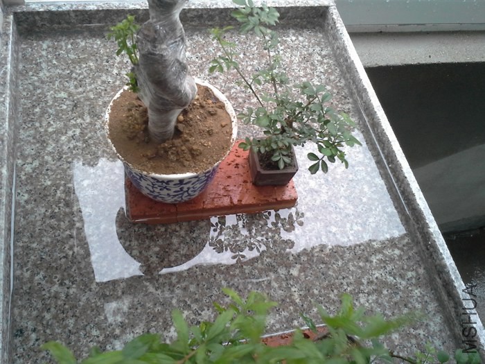 20140701_161328.jpg