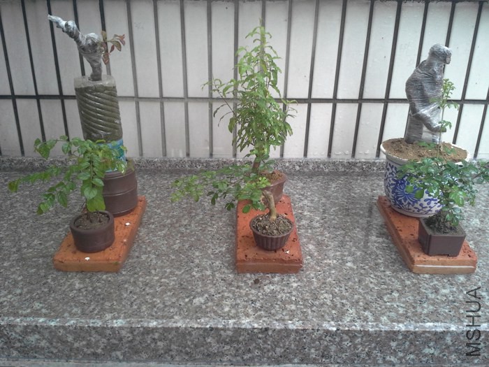 20140701_150615.jpg
