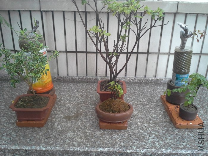 20140701_150625.jpg