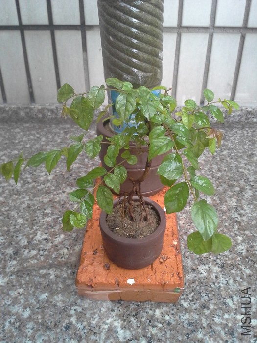 20140701_150700.jpg