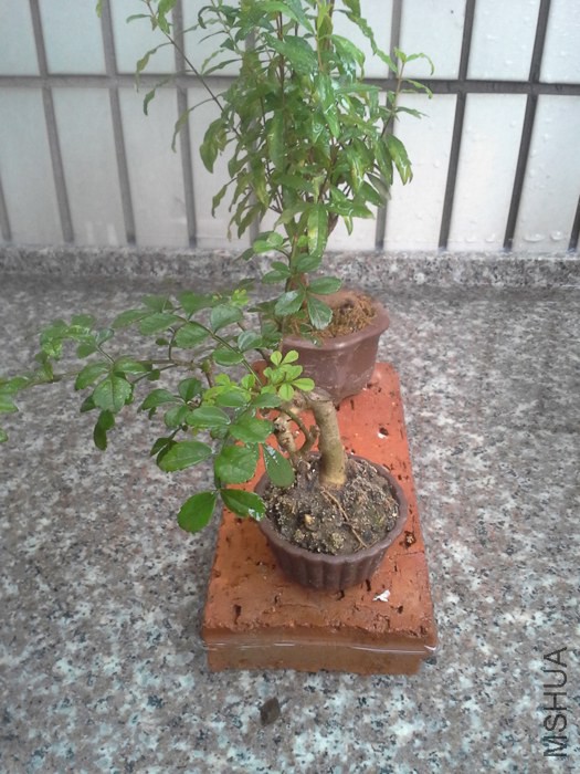 20140701_150709.jpg