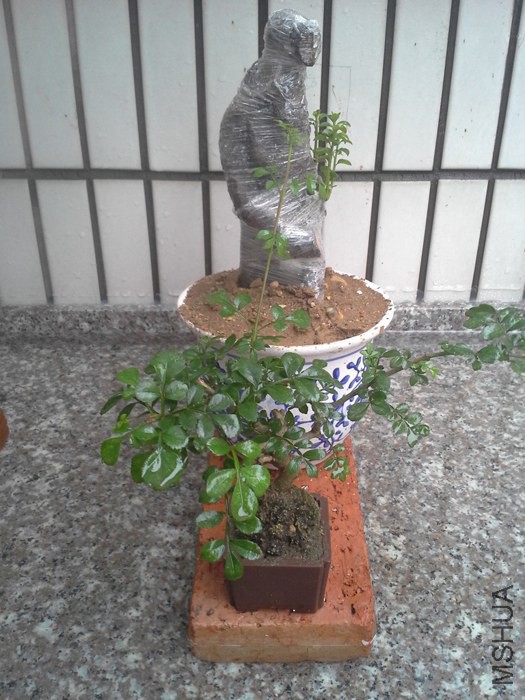 20140701_150716.jpg