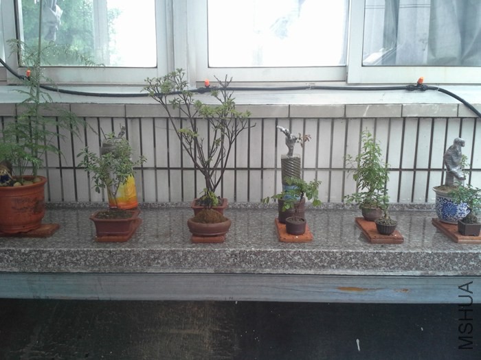 20140701_150754.jpg