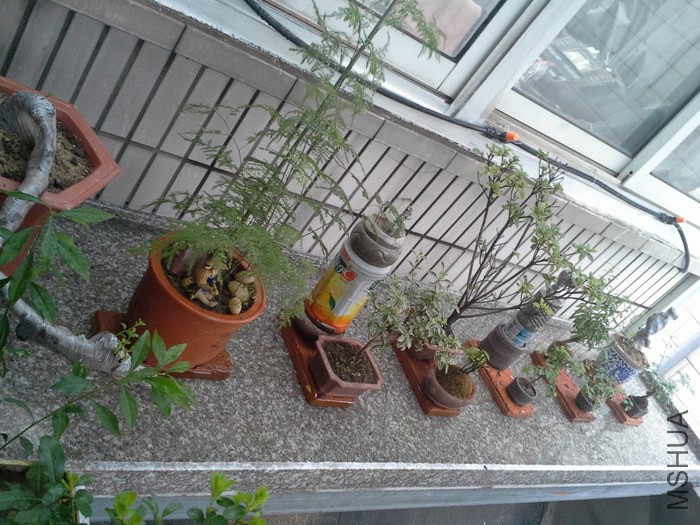 20140701_161652.jpg