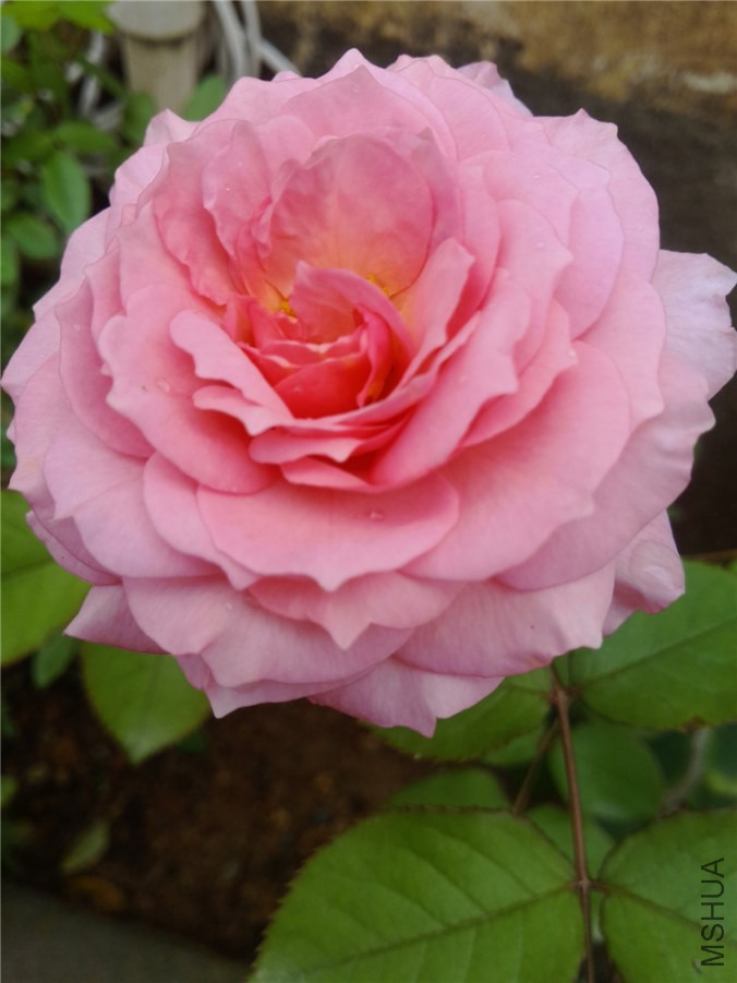 2014513113604 (1).jpg