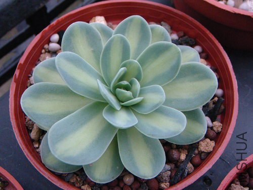20120612202337_PnynS.jpeg