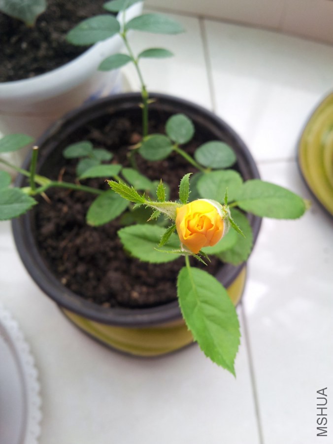 20140705_101901_����.jpg