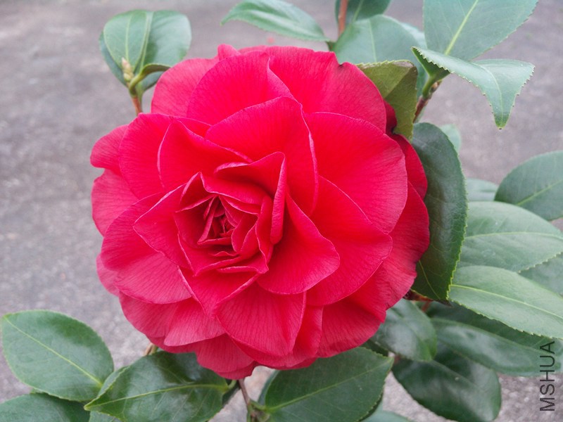 ������õ��