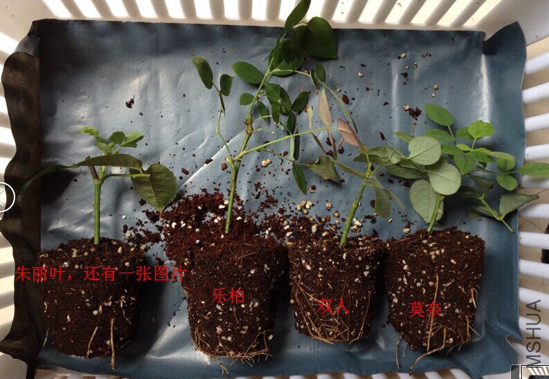 7-6һ���ϵ.jpg